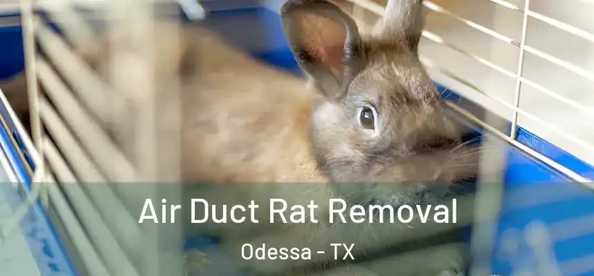  Air Duct Rat Removal Odessa - TX