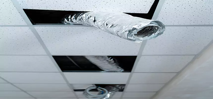 Affordable HVAC Sanitizing After Pest Removal in Odessa