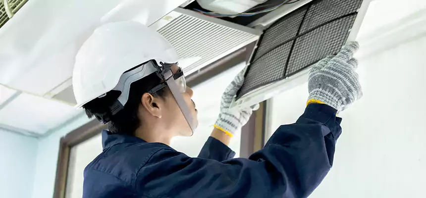 Our Mold & Mildew Removal from Air Ducts Services in Odessa, TX