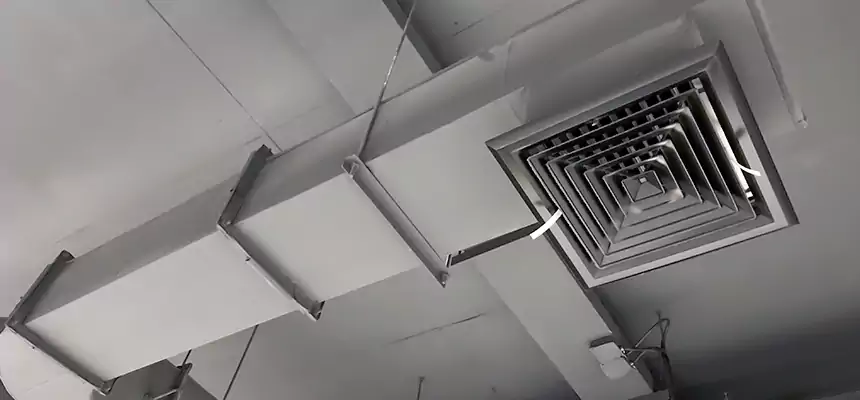 Our Pest Removal From Ducts Services in Odessa, TX