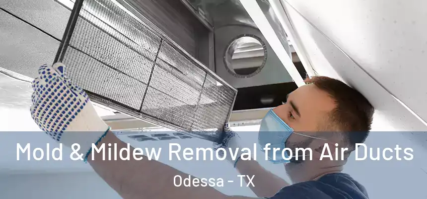 Mold & Mildew Removal from Air Ducts Odessa - TX