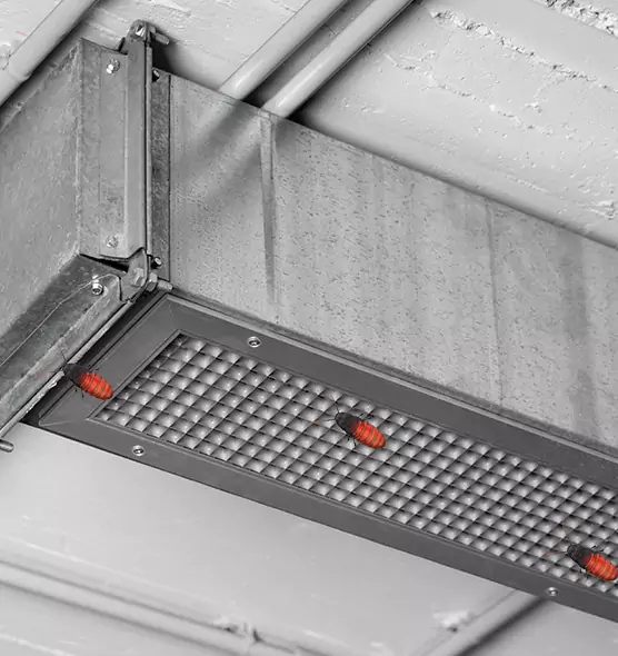 About Air Duct Cockroach Removal in Odessa, TX