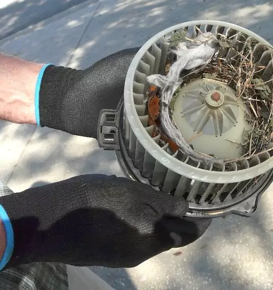 About Air Duct Rat Removal in Odessa, TX