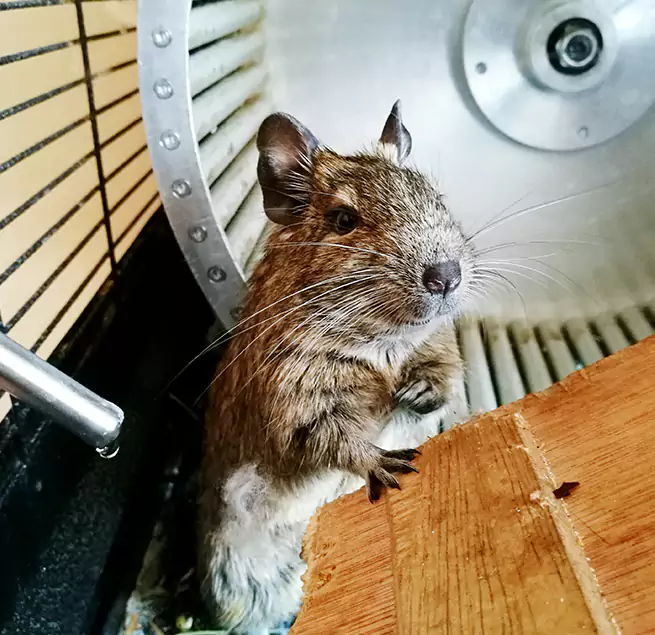 Why Homeowners & Businesses Trust Us Odessa, TX